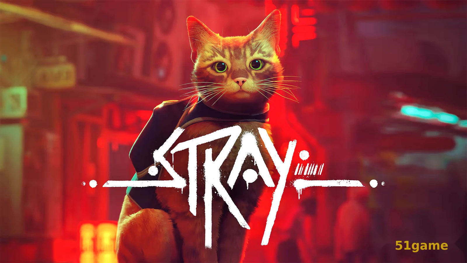 迷失Stray 游戏截图 1
