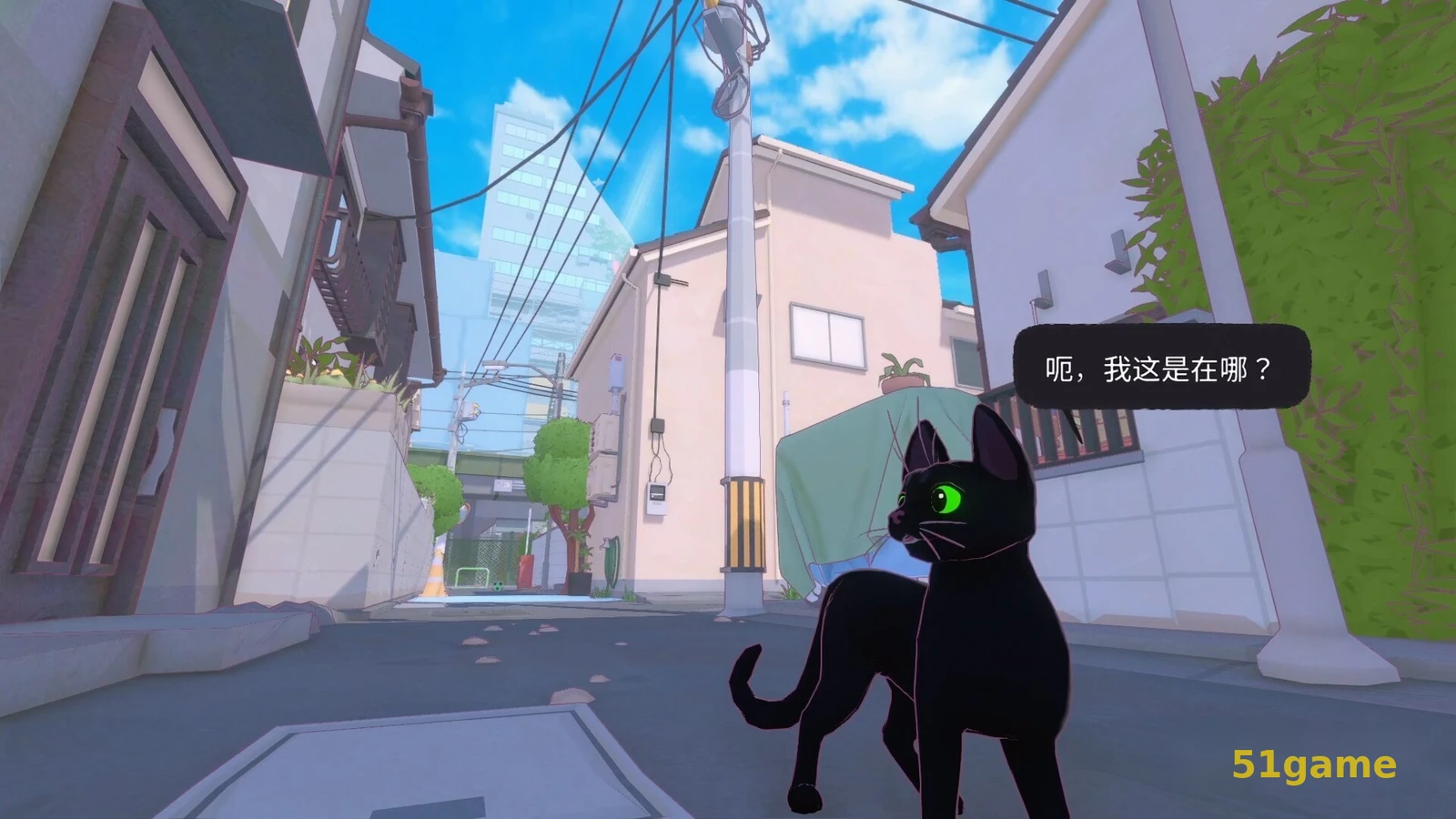小猫咪大城市 游戏截图 2