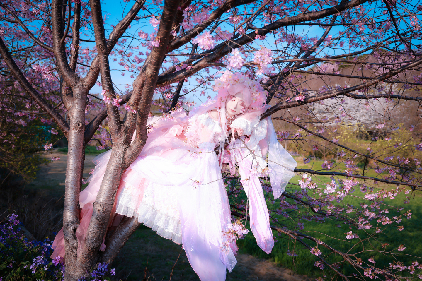 樱花拟人cos | 五十玄cos樱花拟人-coser家，cosplay爱好者，二次元聚集地，动漫文化，新番资讯，ACG，Coser展示