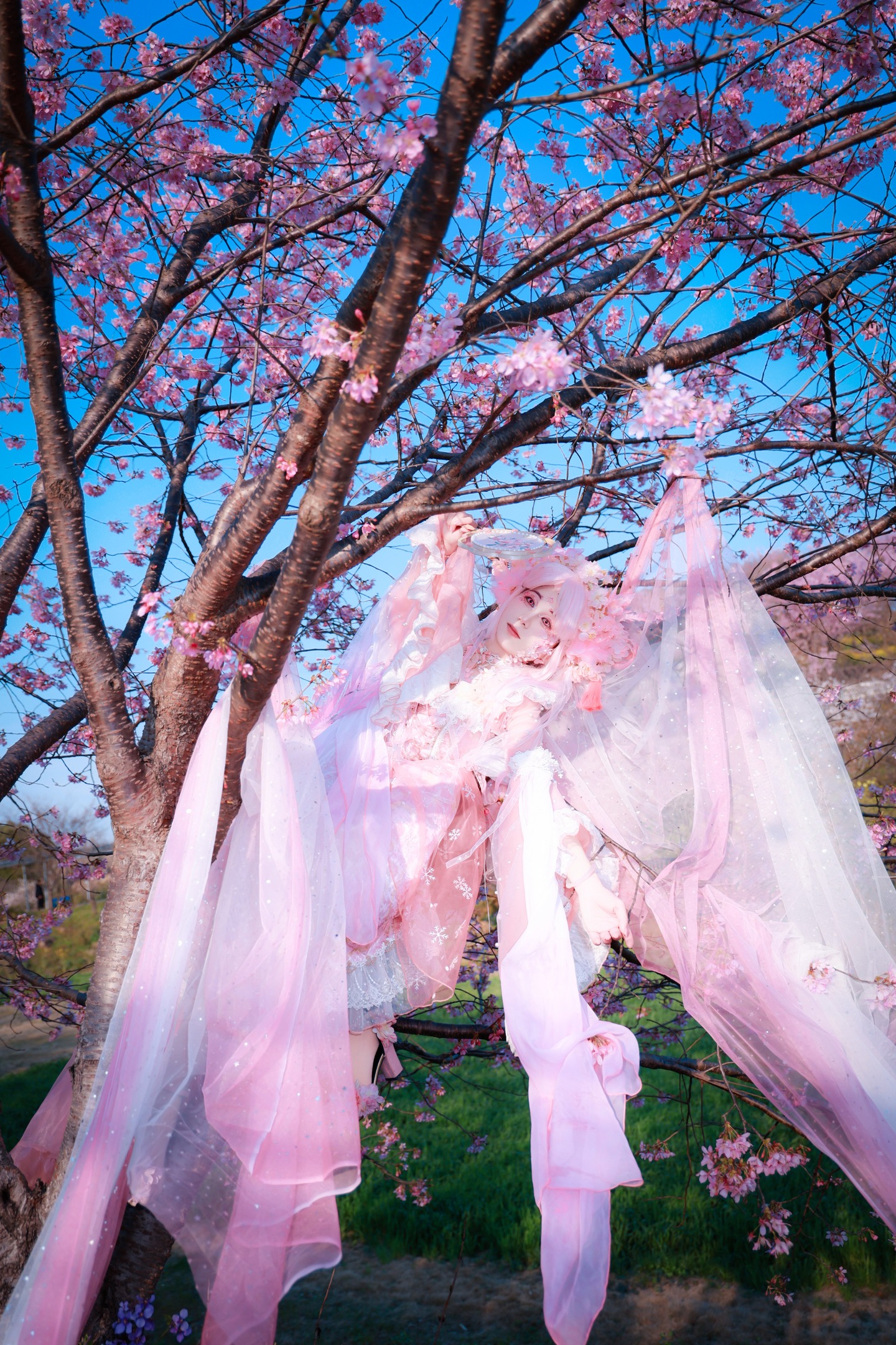 樱花拟人cos (2/9) 樱花拟人cos 第2张 - 樱花拟人图集