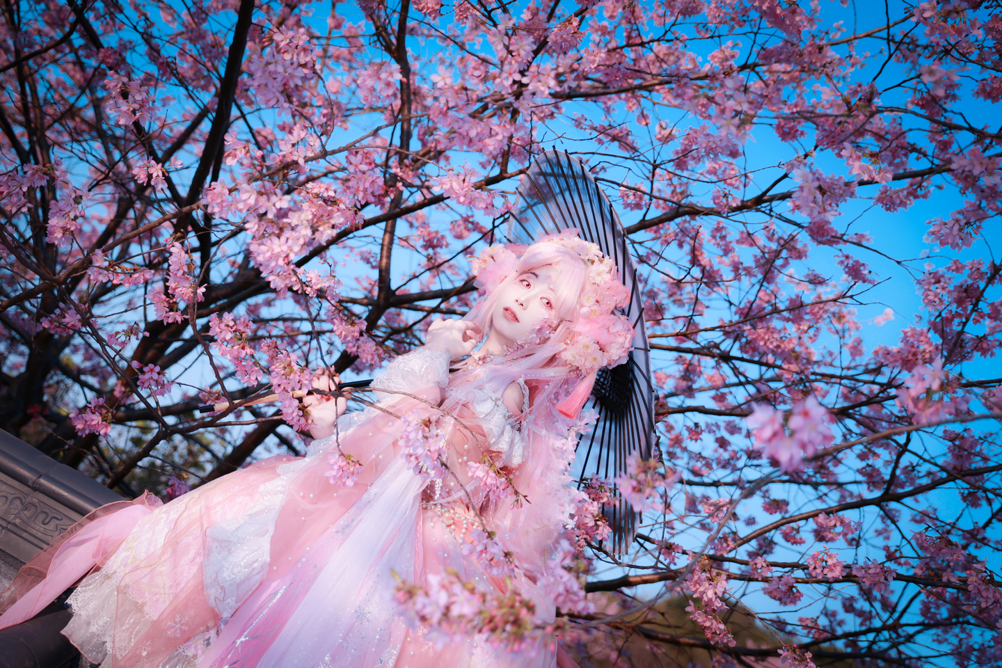 樱花拟人cos (7/9) 樱花拟人cos 第7张 - 樱花拟人图集