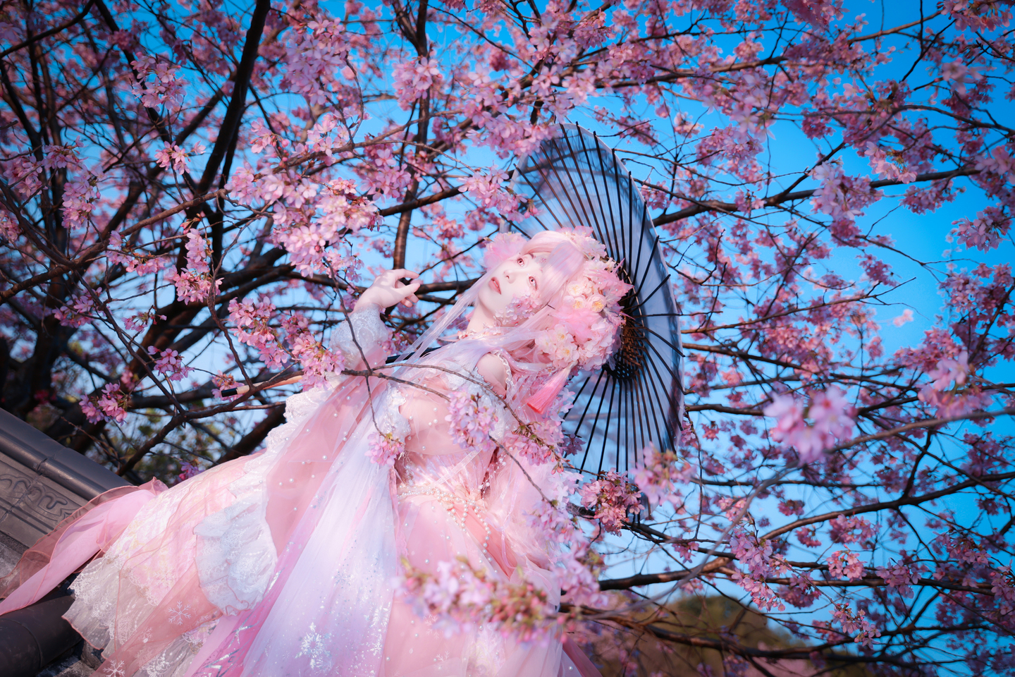 樱花拟人cos (8/9) 樱花拟人cos 第8张 - 樱花拟人图集