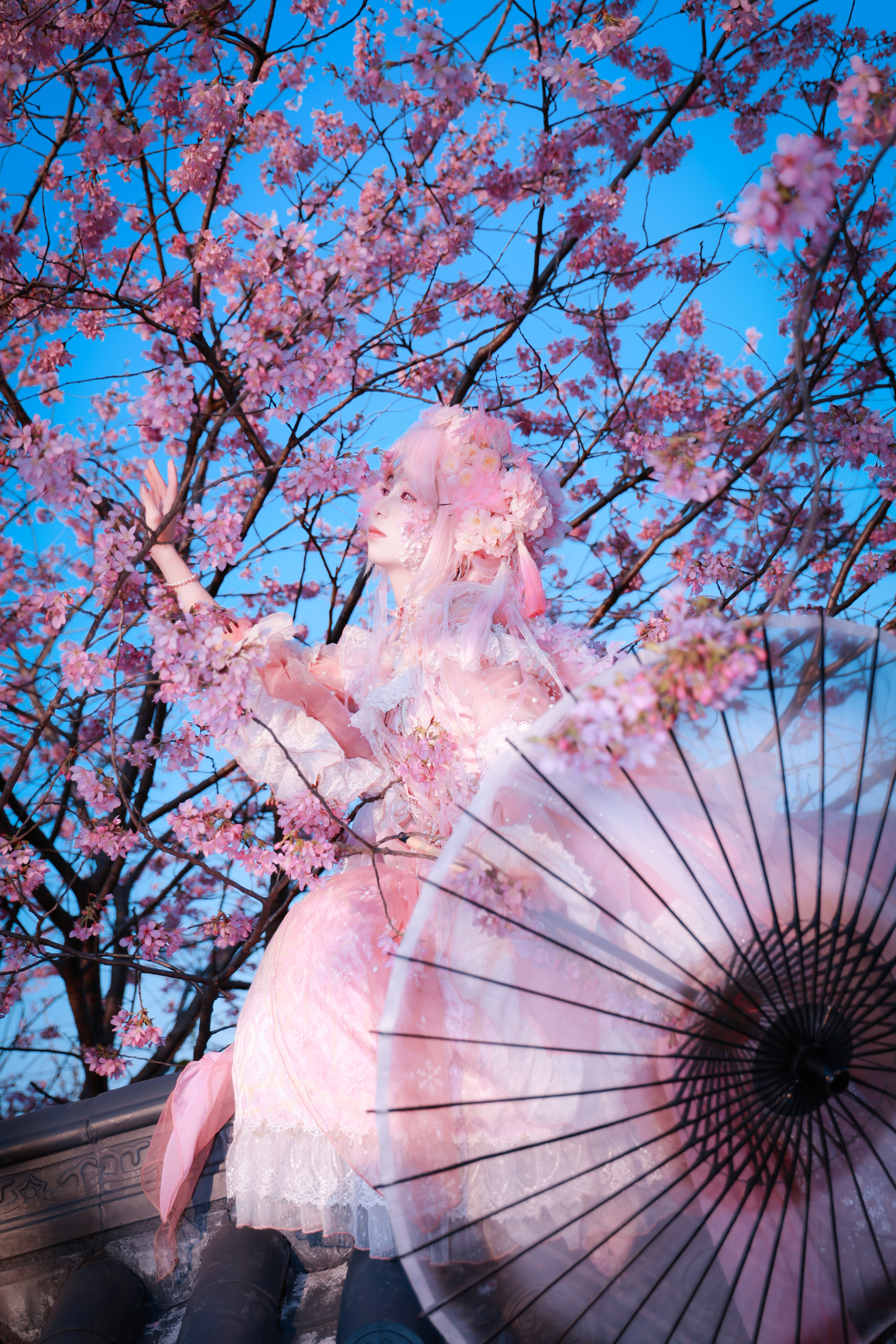 樱花拟人cos (9/9) 樱花拟人cos 第9张 - 樱花拟人图集