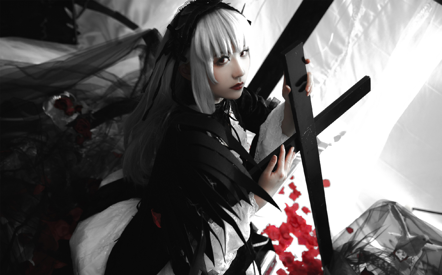 《蔷薇少女》水银灯cosplay (12/12) 《蔷薇少女》水银灯cosplay 第12张 - 水银灯图集
