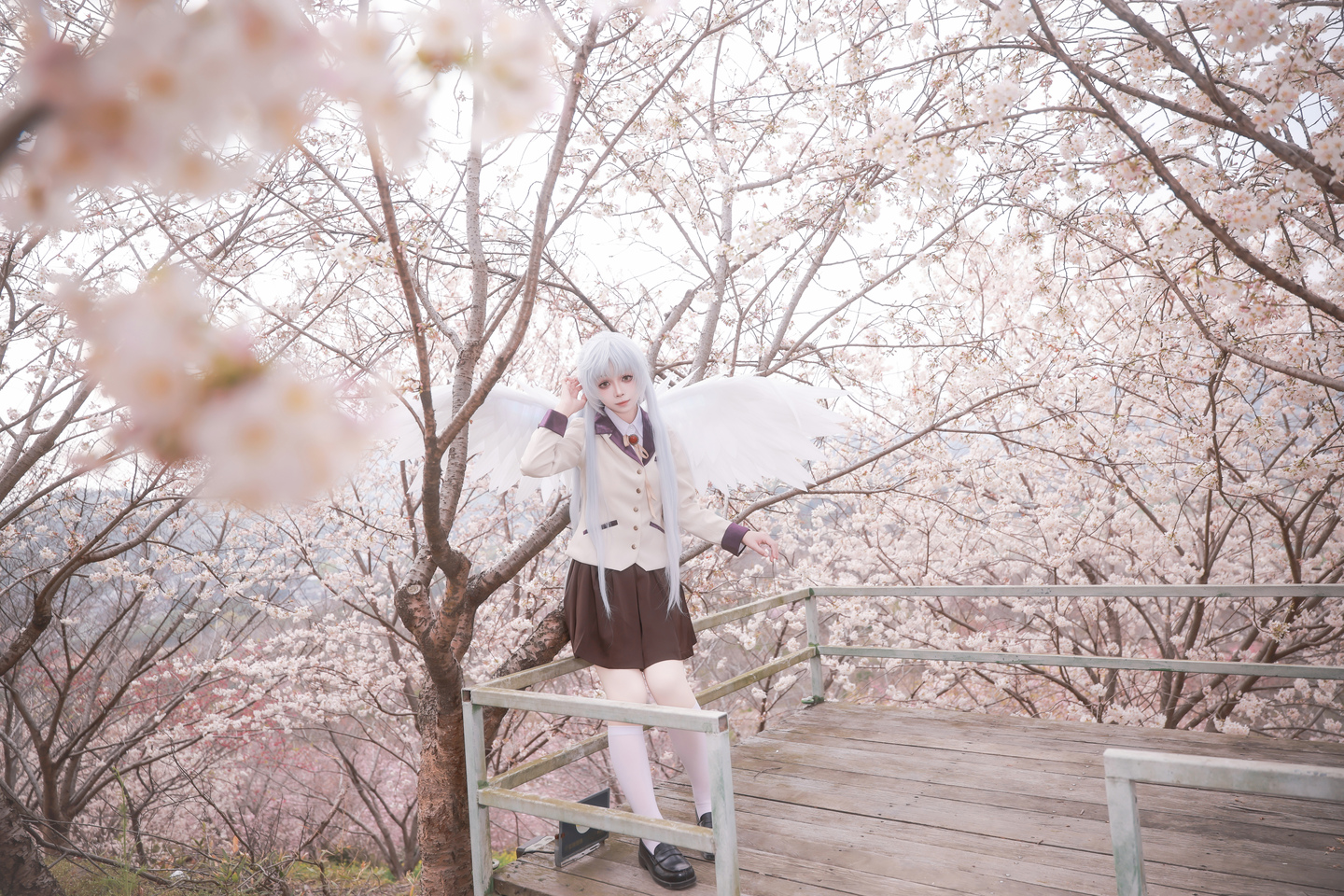 《Angel Beats!》立华奏cos (3/18) 《Angel Beats!》立华奏cos 第3张 - 立华奏图集
