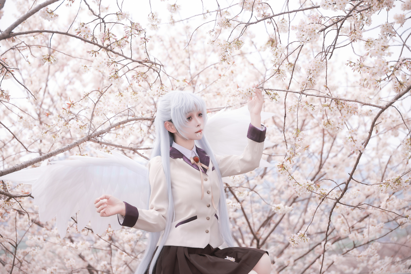 《Angel Beats!》立华奏cos (5/18) 《Angel Beats!》立华奏cos 第5张 - 立华奏图集
