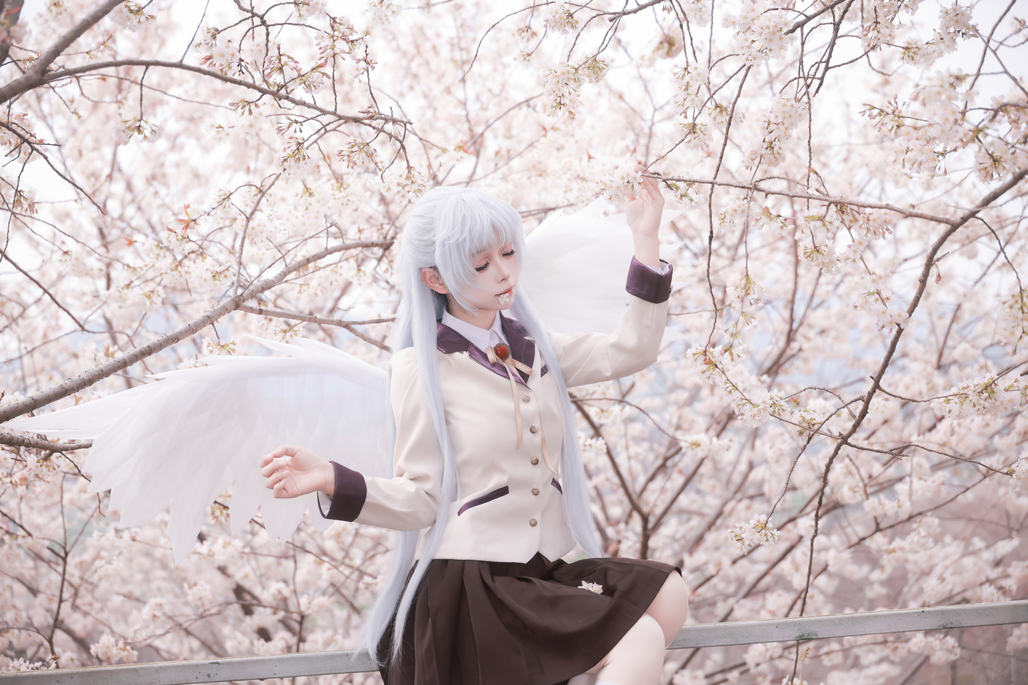 《Angel Beats!》立华奏cos (6/18) 《Angel Beats!》立华奏cos 第6张 - 立华奏图集