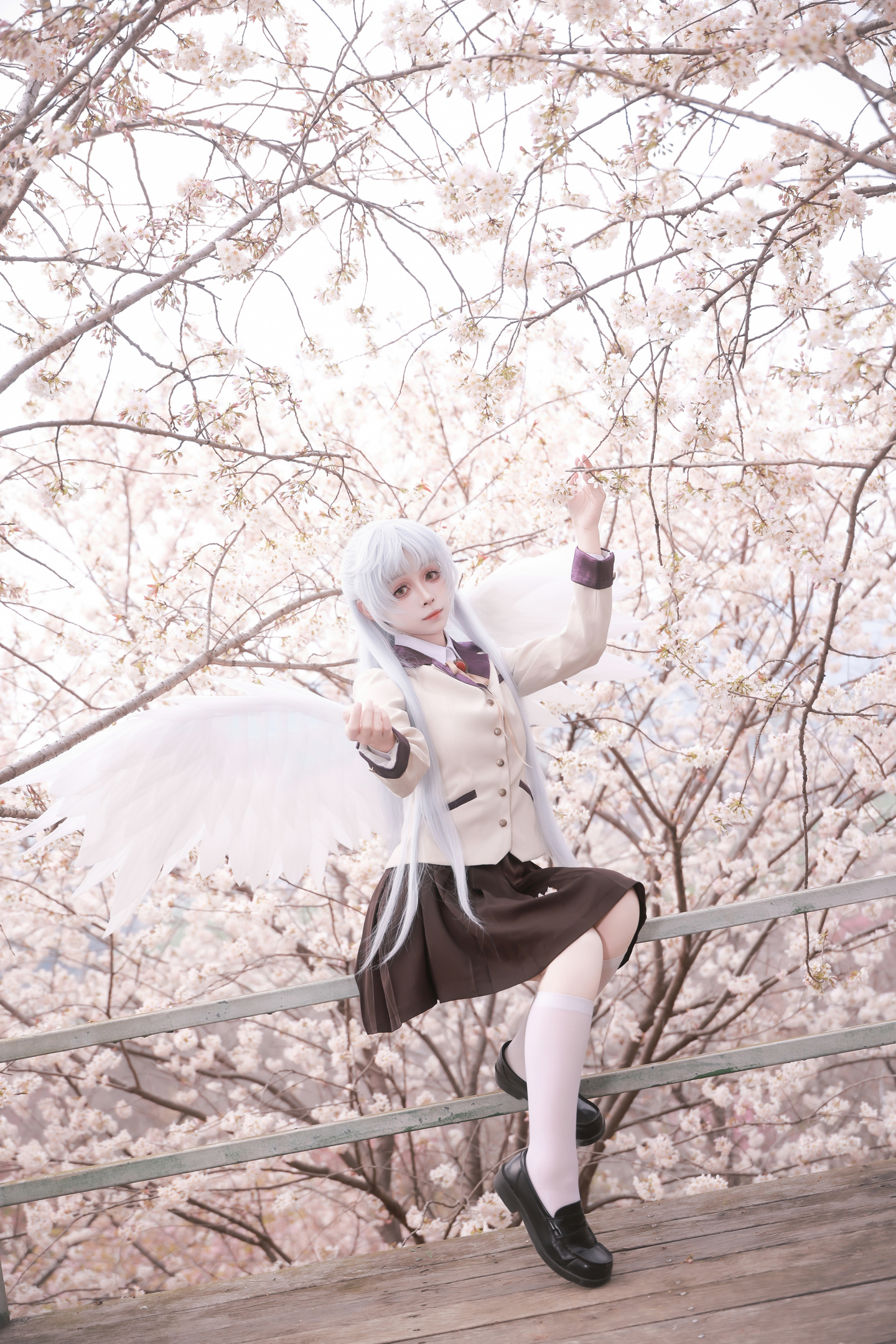 《Angel Beats!》立华奏cos (7/18) 《Angel Beats!》立华奏cos 第7张 - 立华奏图集