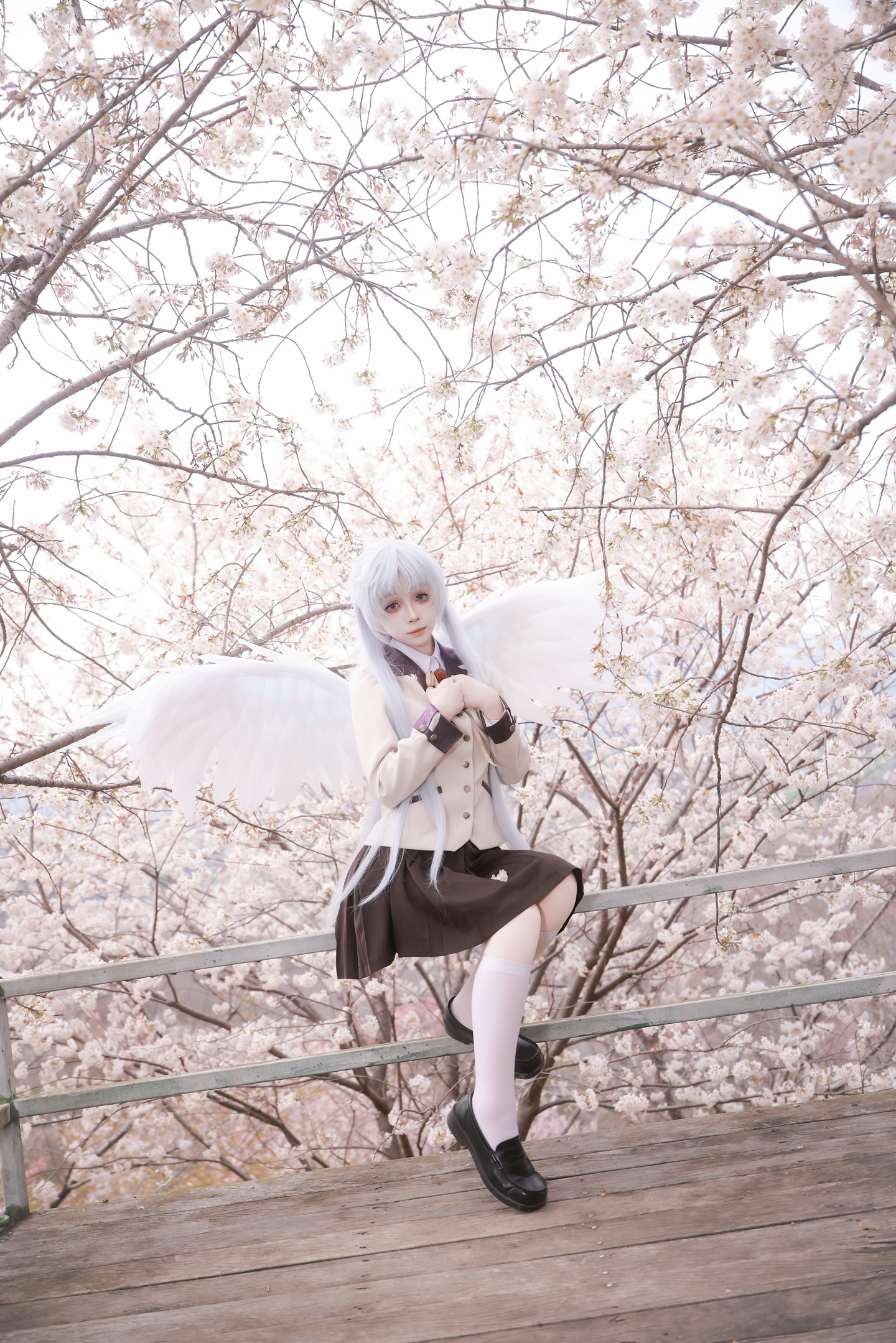 《Angel Beats!》立华奏cos (8/18) 《Angel Beats!》立华奏cos 第8张 - 立华奏图集