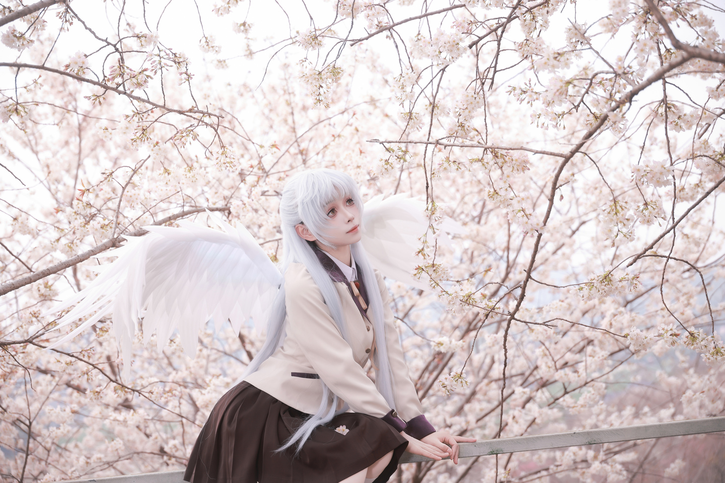 《Angel Beats!》立华奏cos (9/18) 《Angel Beats!》立华奏cos 第9张 - 立华奏图集