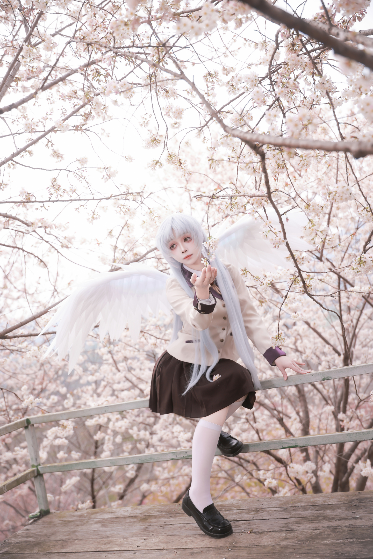 《Angel Beats!》立华奏cos (10/18) 《Angel Beats!》立华奏cos 第10张 - 立华奏图集