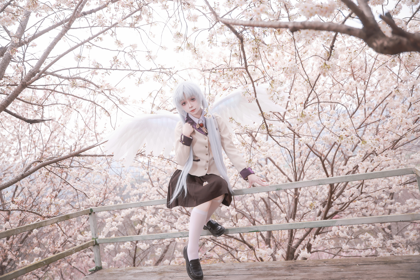 《Angel Beats!》立华奏cos (11/18) 《Angel Beats!》立华奏cos 第11张 - 立华奏图集