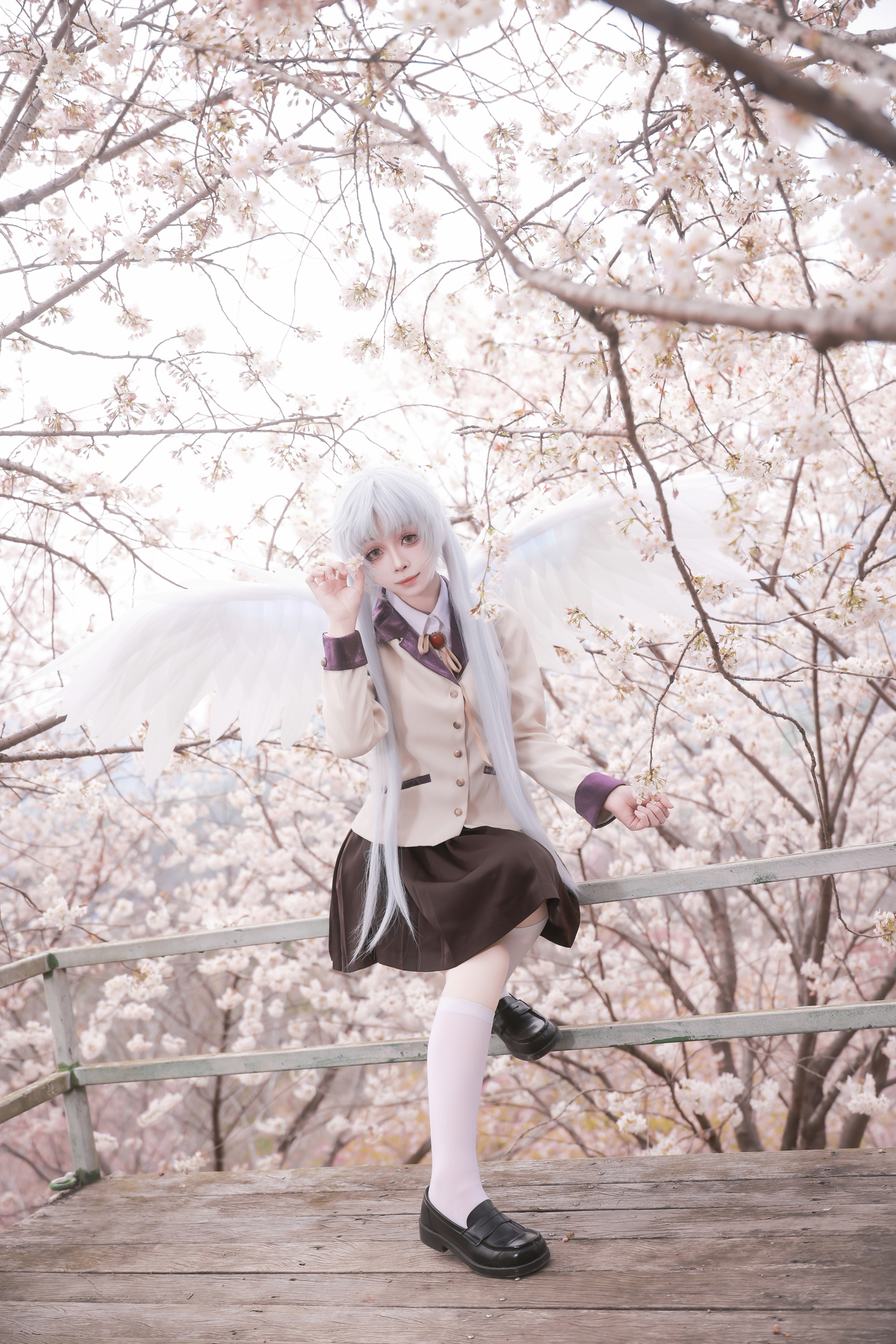 《Angel Beats!》立华奏cos (12/18) 《Angel Beats!》立华奏cos 第12张 - 立华奏图集