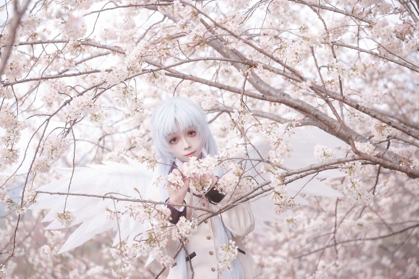 《Angel Beats!》立华奏cos (15/18) 《Angel Beats!》立华奏cos 第15张 - 立华奏图集
