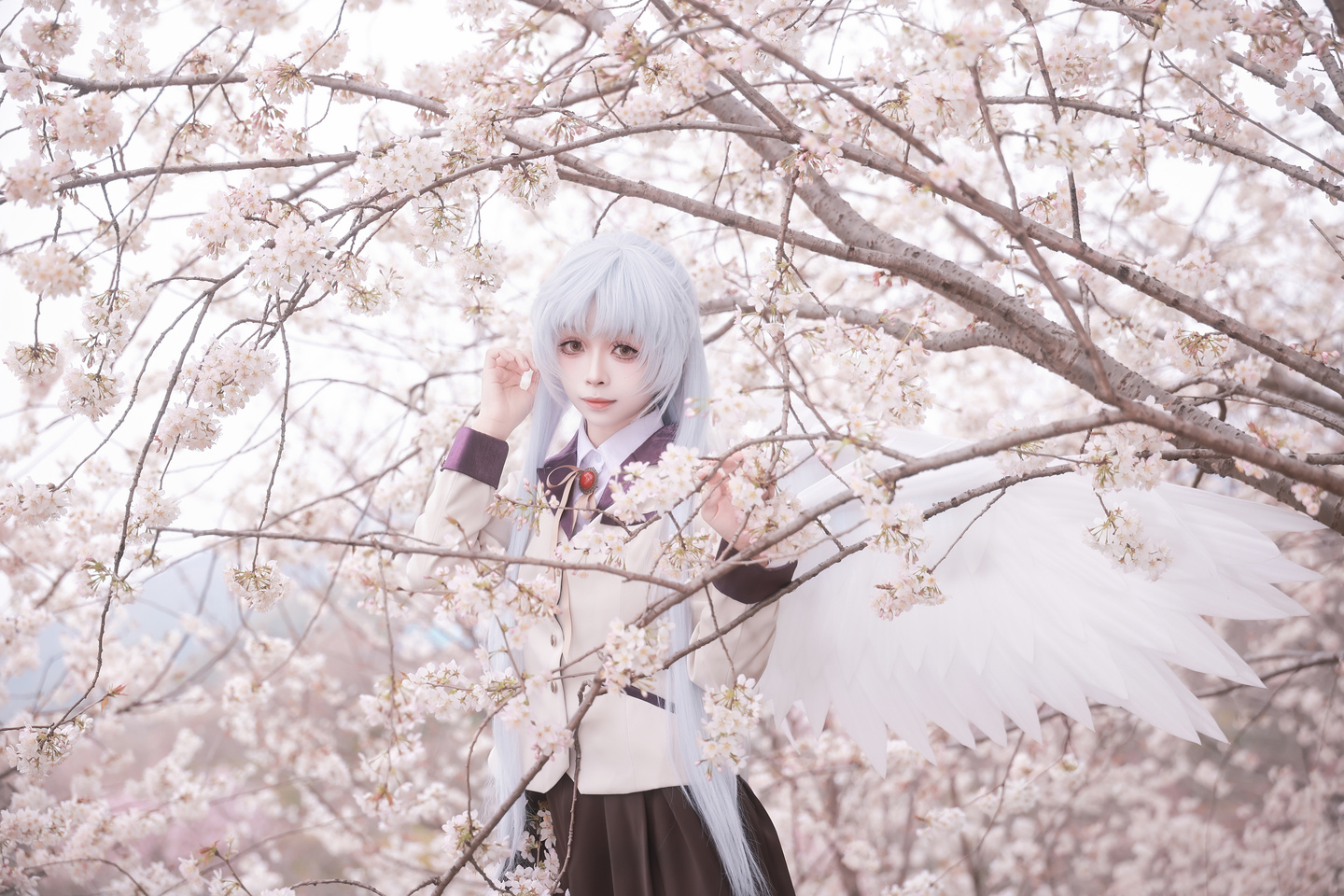 《Angel Beats!》立华奏cos (17/18) 《Angel Beats!》立华奏cos 第17张 - 立华奏图集