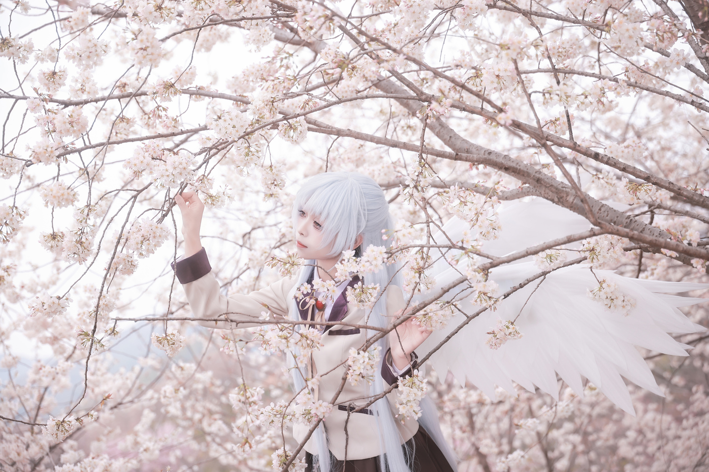 《Angel Beats!》立华奏cos (18/18) 《Angel Beats!》立华奏cos 第18张 - 立华奏图集