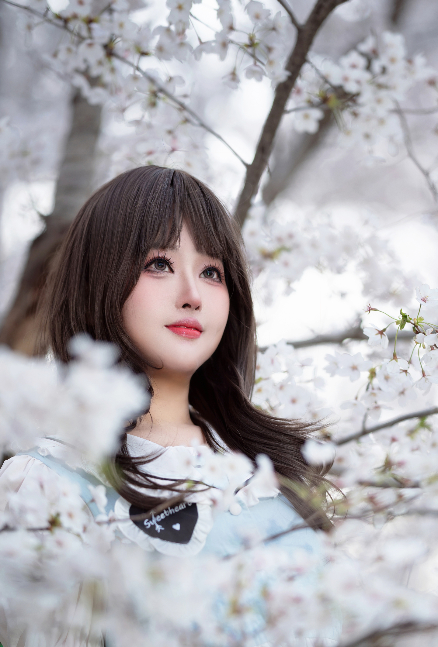 遗落心动樱花赏 (7/9) 遗落心动樱花赏 第7张 - cosplay图集