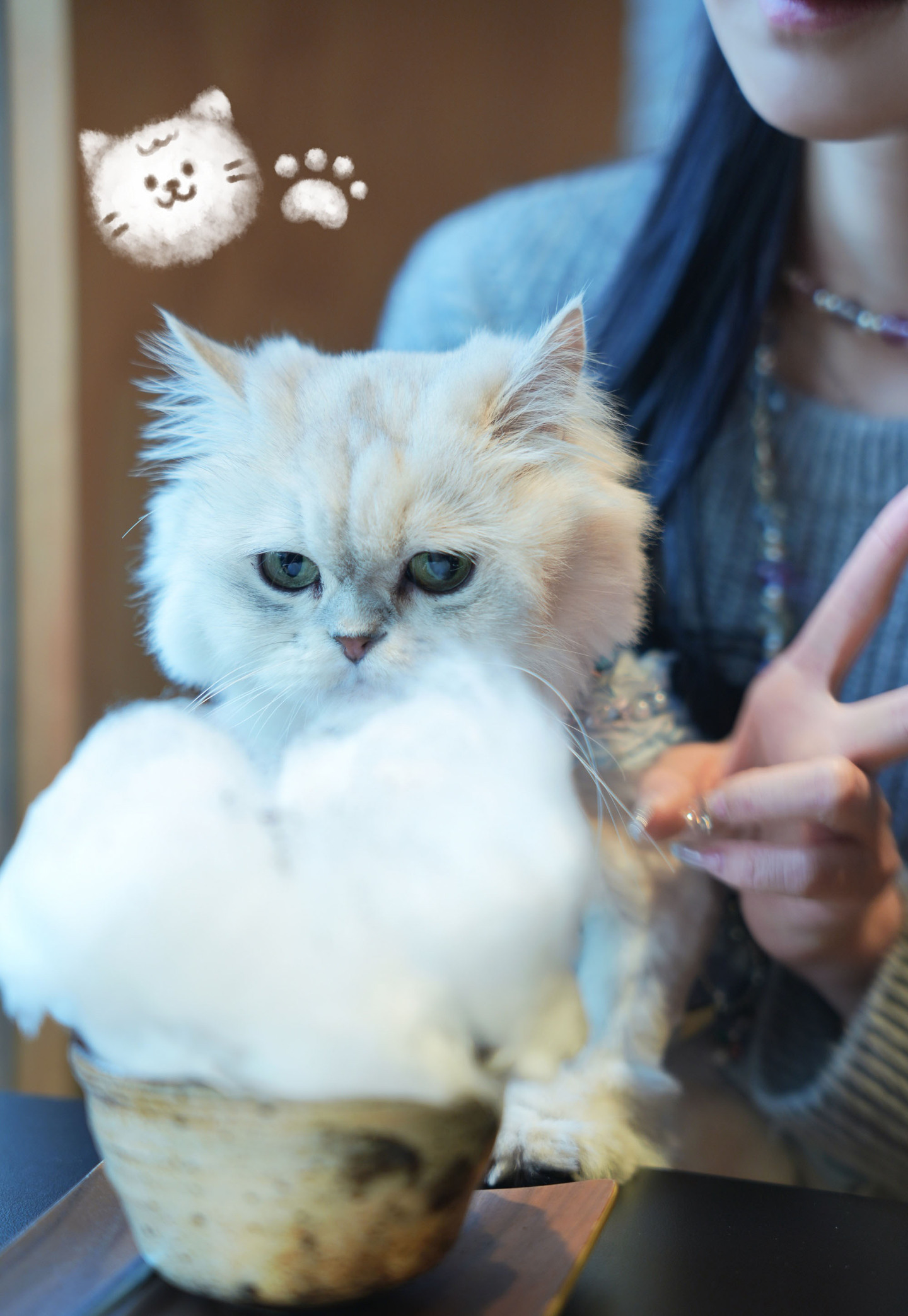 露哥日常穿搭 (4/4) 露哥日常穿搭 第4张 - cosplay图集