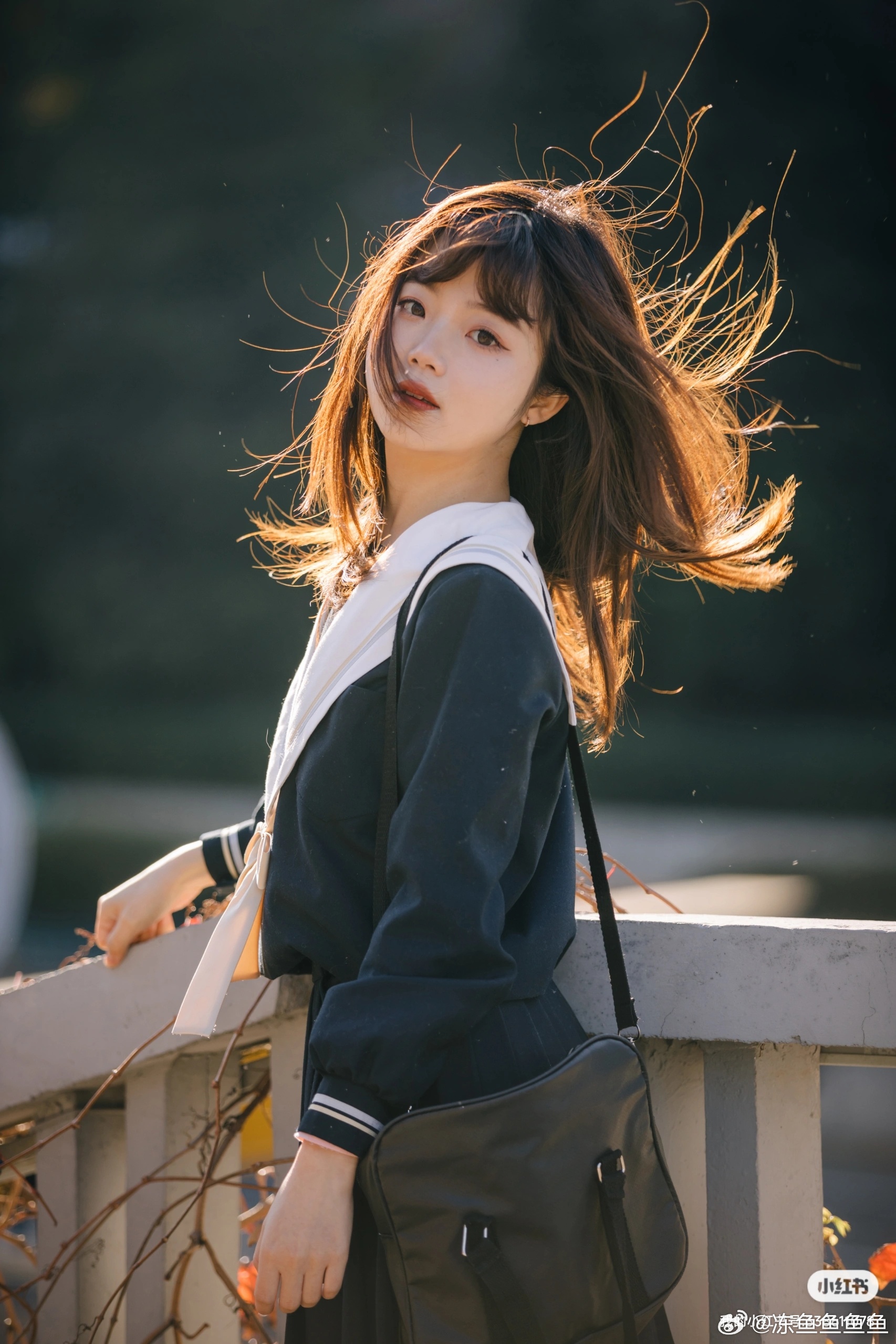 漫步在街上,冬日的暖阳。 不经意间看的美好@言盐盐盐 第2张