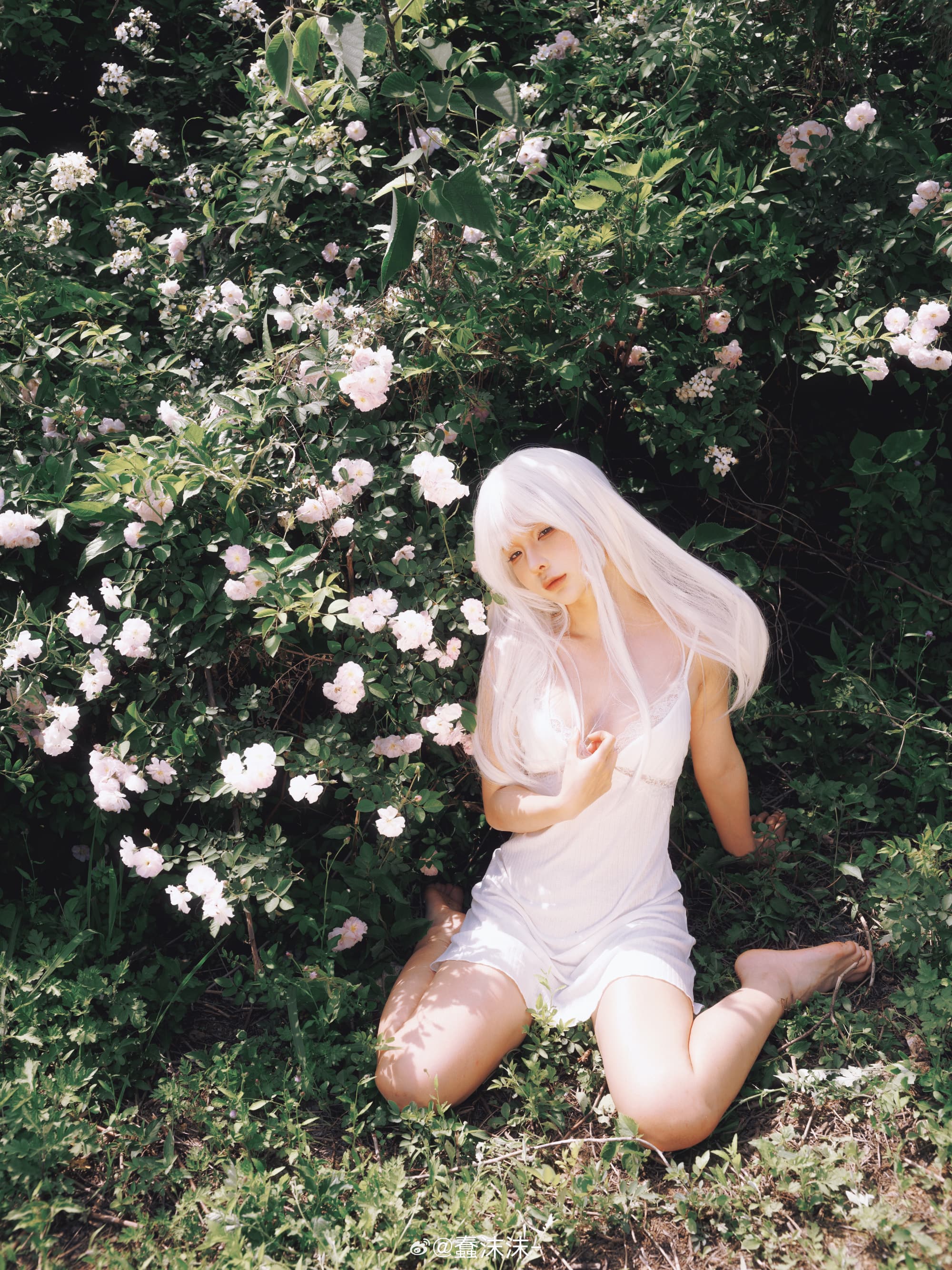 《融入》@蠢沫沫- 第4张