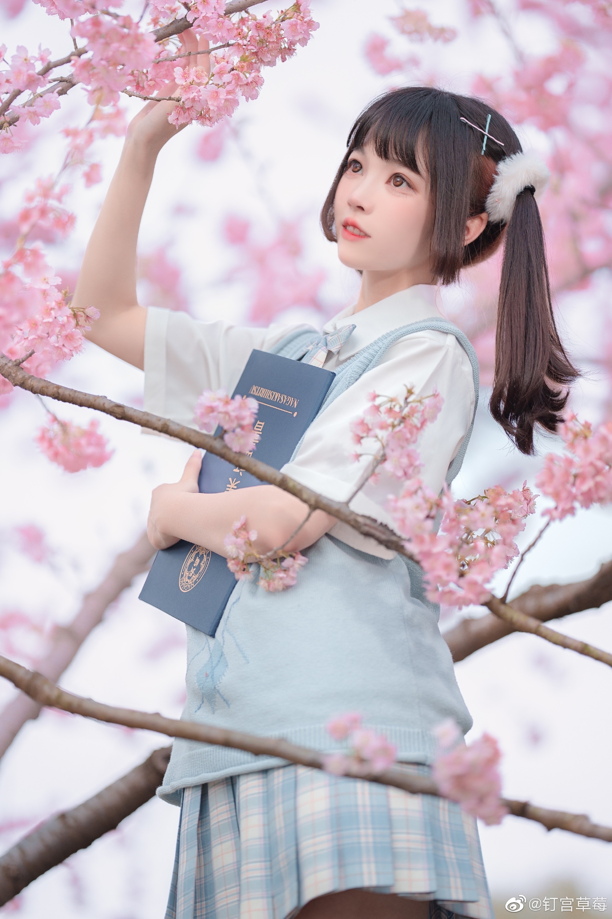 【JK日常】 樱花樱花想见你～@钉宫草莓 | 钉宫草莓cos【JK日常】 樱花樱花想见你～-coser家，cosplay爱好者，二次元聚集地，动漫文化，新番资讯，ACG，Coser展示