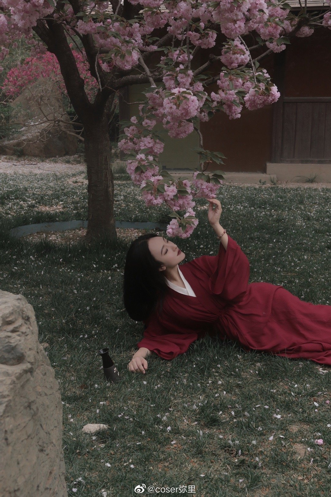 【汉服写真】 樱花 山下梅子酒熟了@coser弥里 | coser弥里cos【汉服写真】 樱花 山下梅子酒熟了-coser家，cosplay爱好者，二次元聚集地，动漫文化，新番资讯，ACG，Coser展示