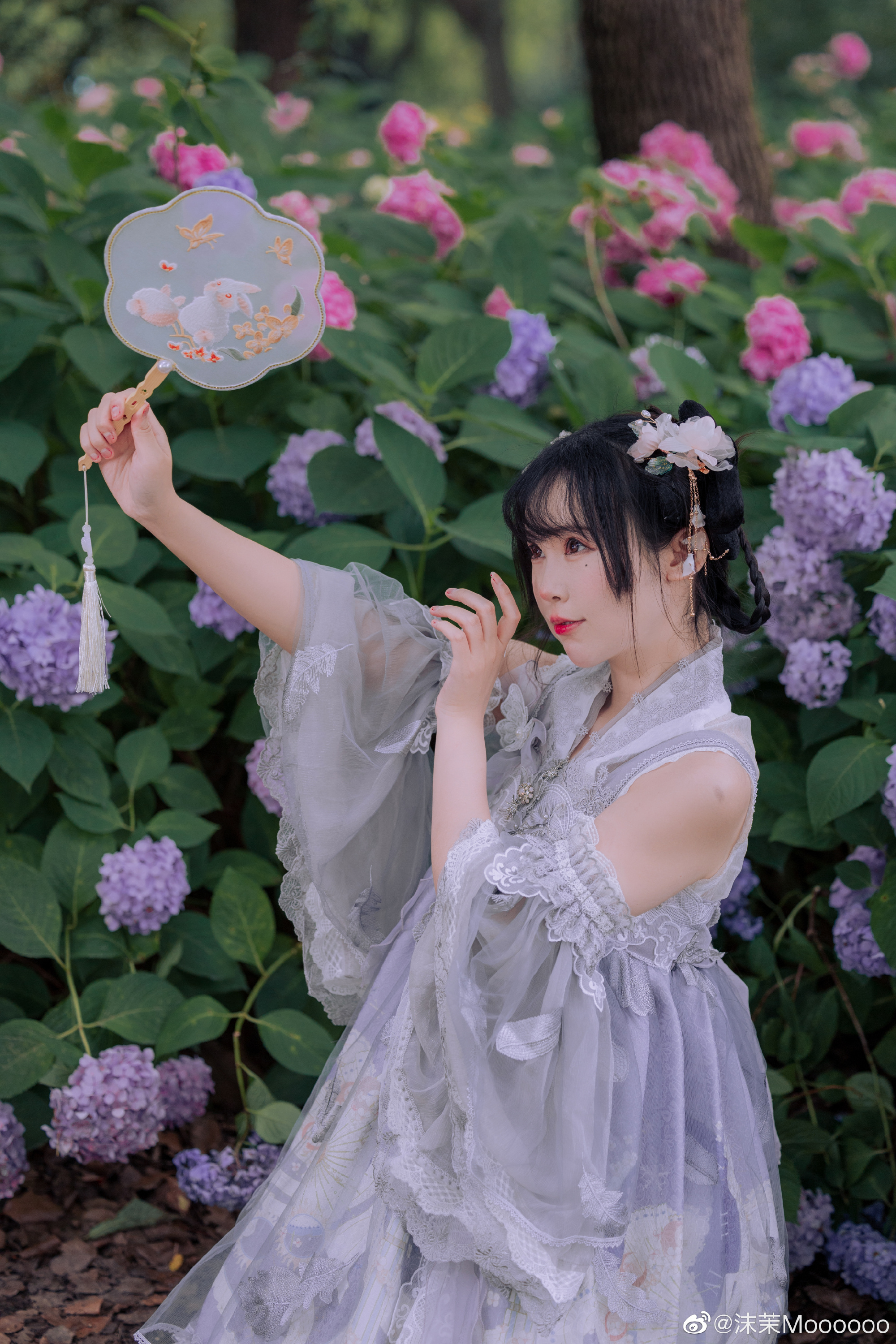 LOLITA 少女写真 绣球花 无尽夏@沫茉Moooooo 第2张