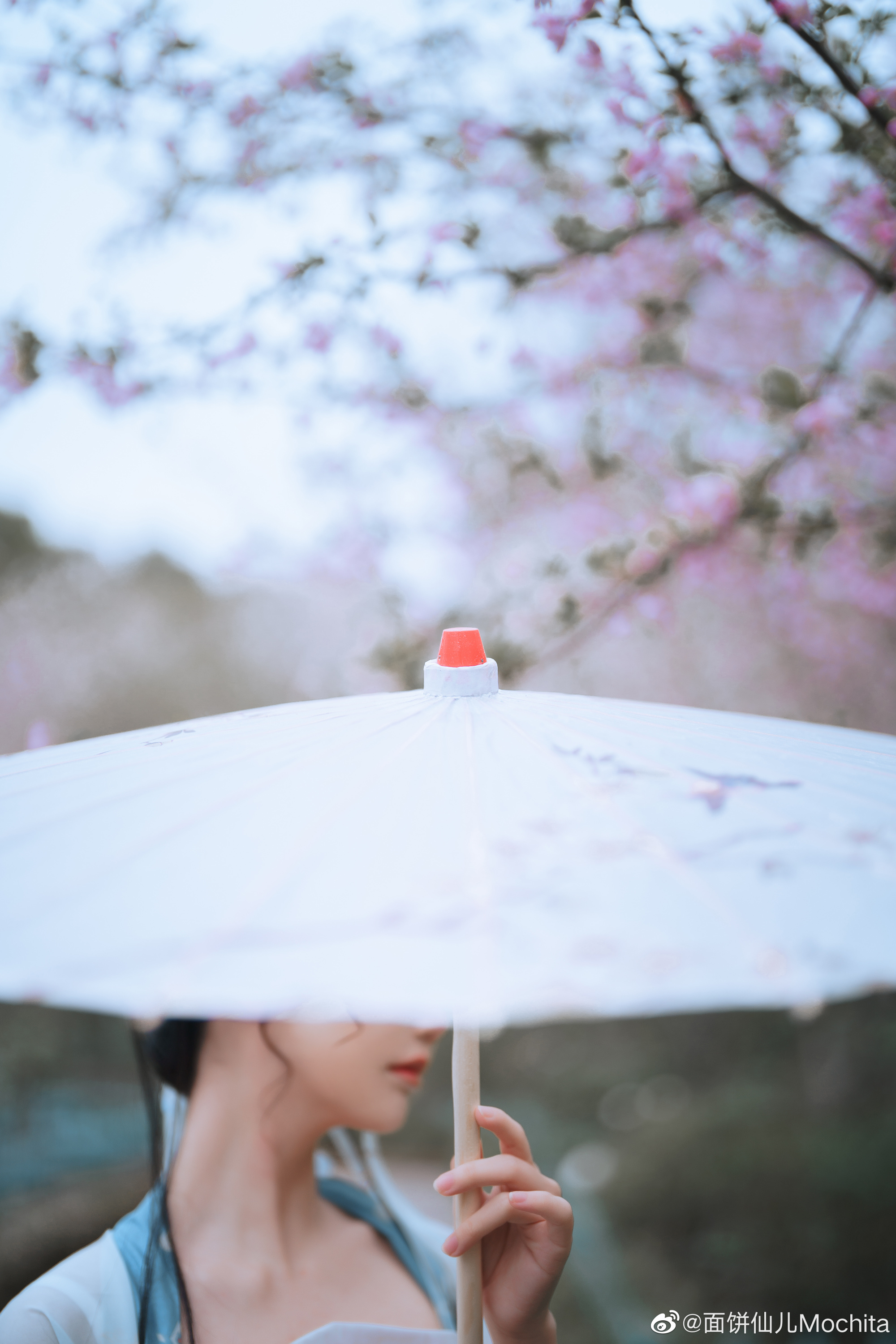 汉服 海棠花开绽放，是因为微雨降世 微雨跌落尘埃，是为了海棠而来@面饼仙儿Mochita 第3张