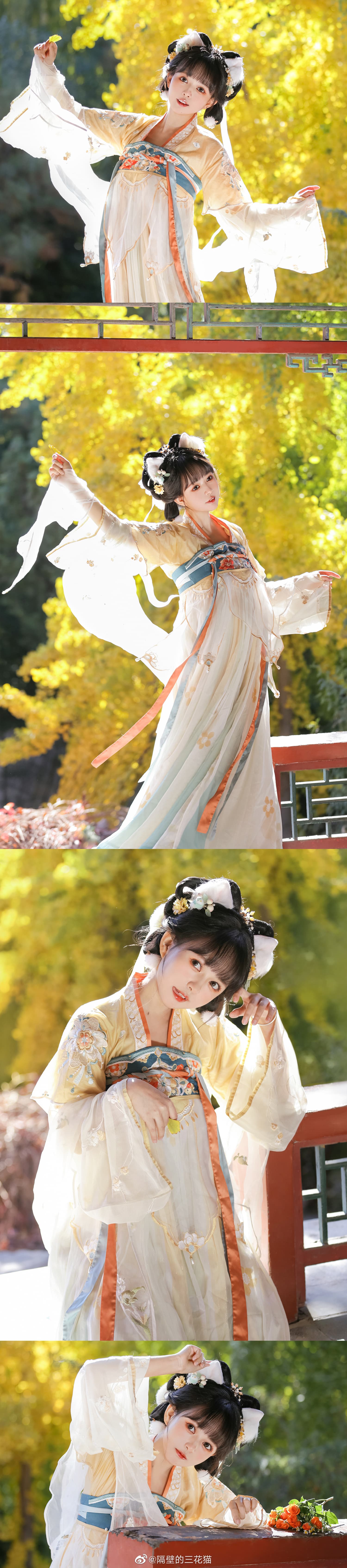 汉服 银杏树下的小咪喵...@隔壁的三花猫 第2张
