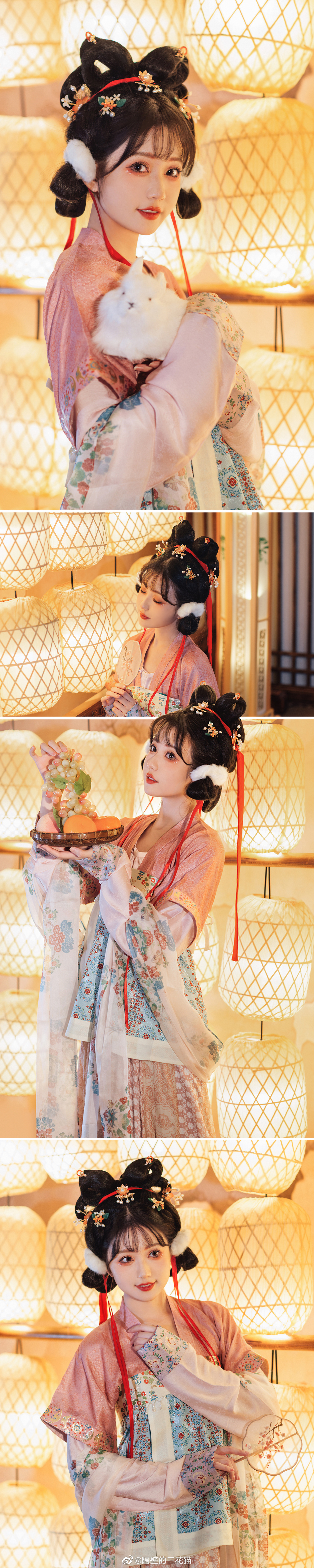 邀月把盏捧玉兔，春风送暖入屠苏…@隔壁的三花猫 第2张