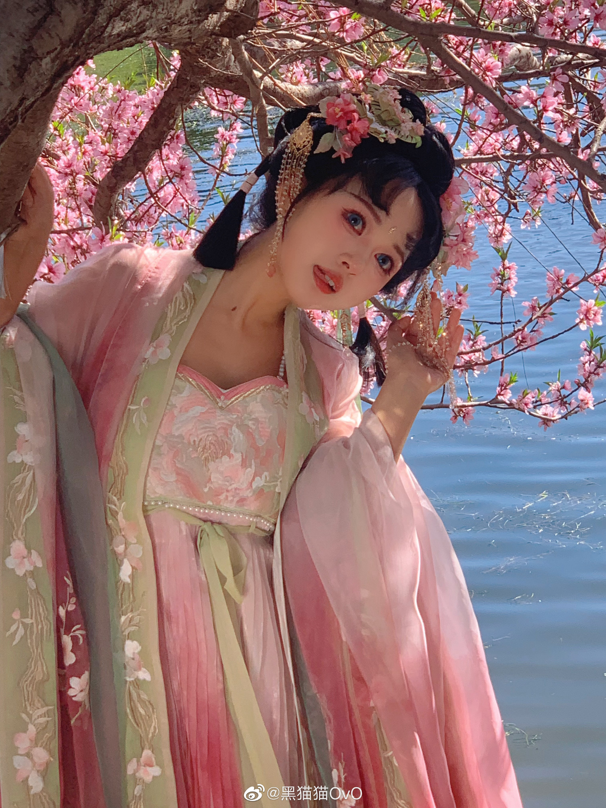 今天的风儿有些喧嚣(><。.°.。@黑猫猫OvO 第1张
