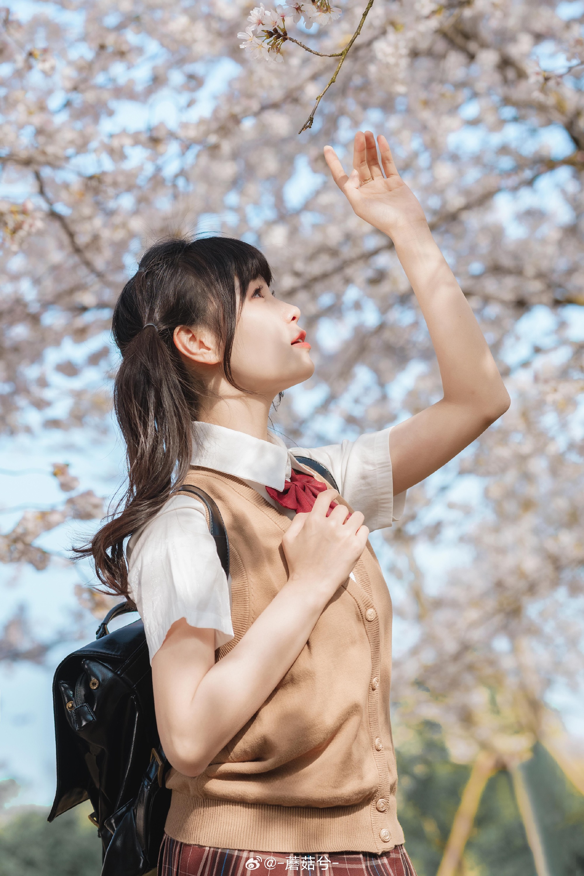 JK制服 樱花是春日来信@-蘑菇兮- 第3张